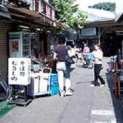 オープニング告知サンプリング