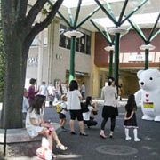 写真を撮ったり